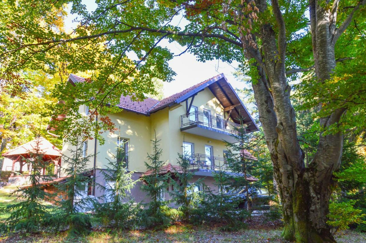 Vila Savinka Zlatibor Exterior foto